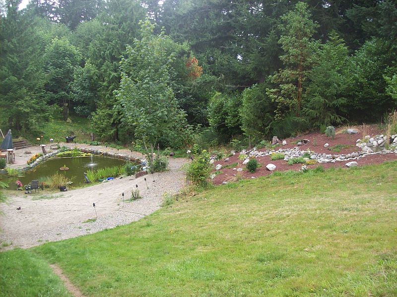 our pond